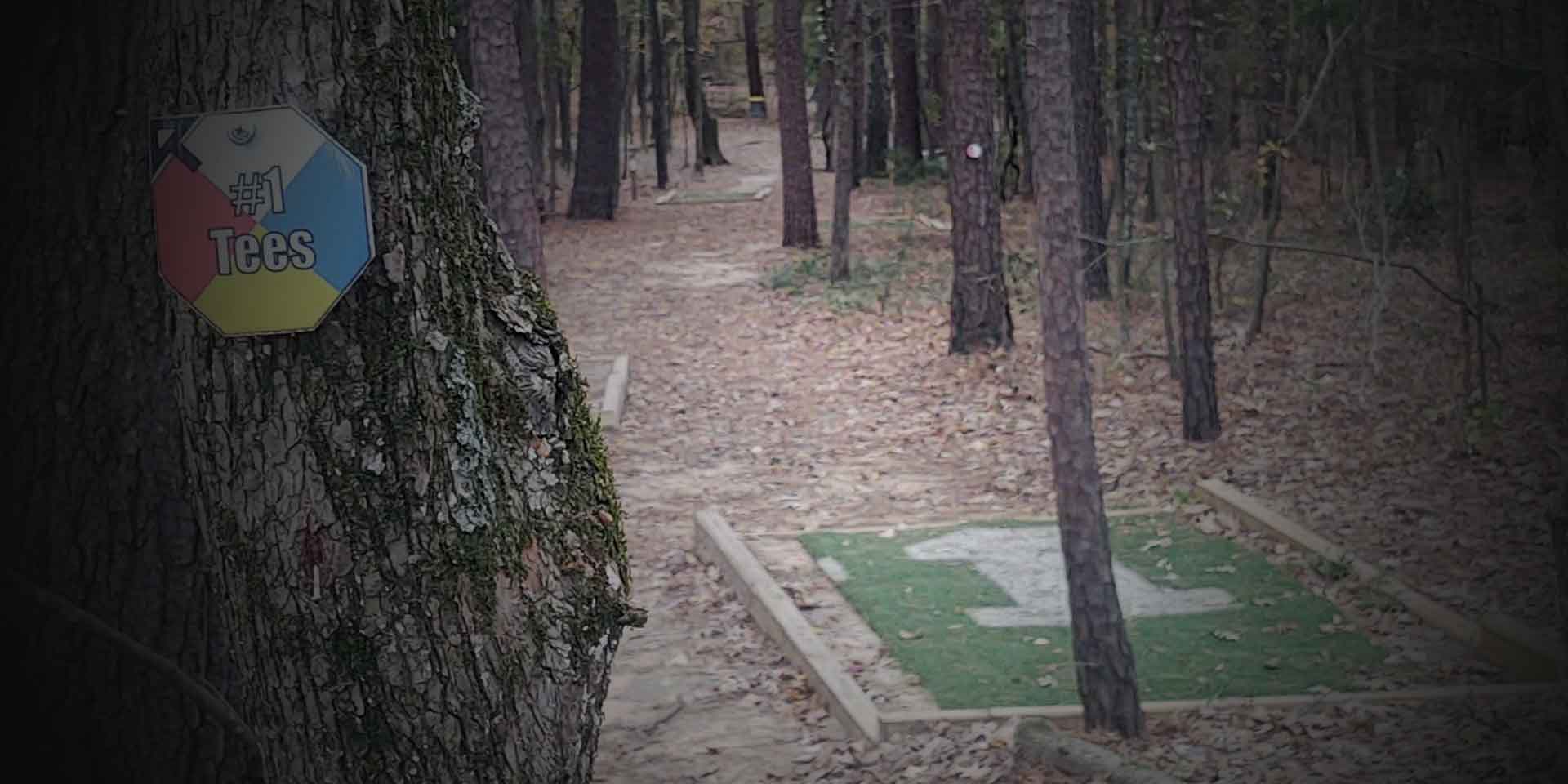 One Source of Truth: The Vision Behind discgolf.buzz